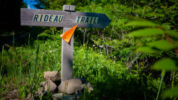 Read more about the article Hiking Around Rideau Lakes
