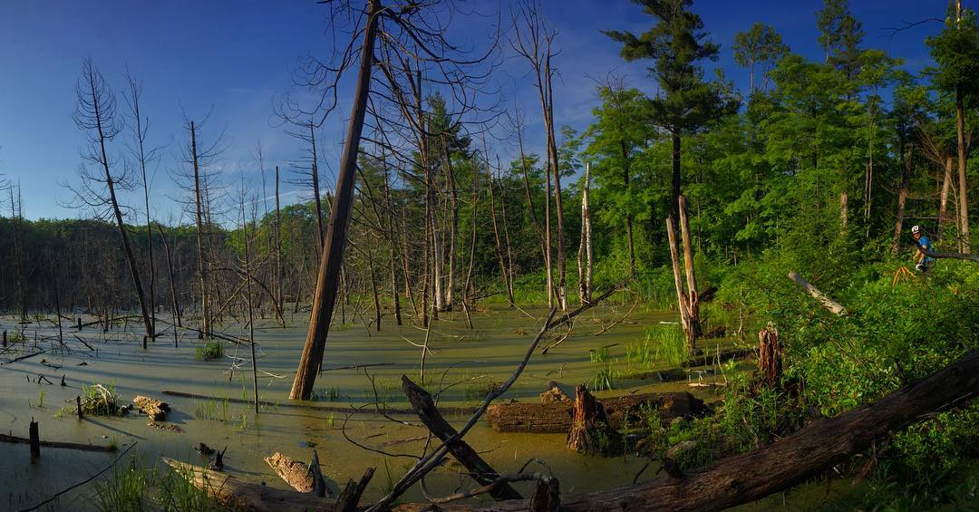 gatineaupark